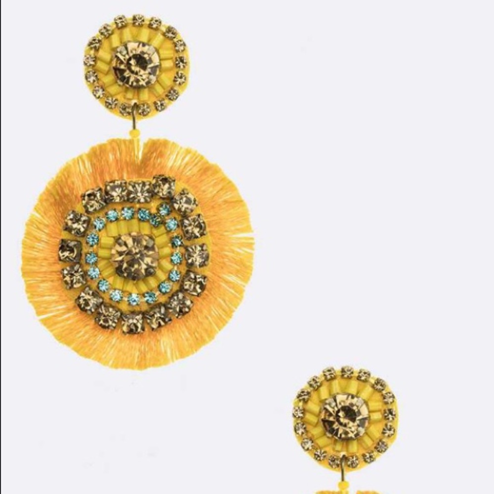 Fringe Tassel Earrings